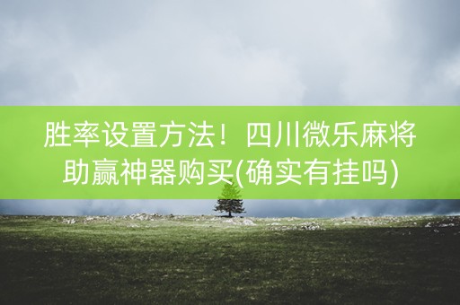 胜率设置方法！四川微乐麻将助赢神器购买(确实有挂吗)