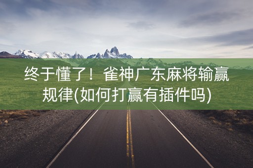 终于懂了！雀神广东麻将输赢规律(如何打赢有插件吗)