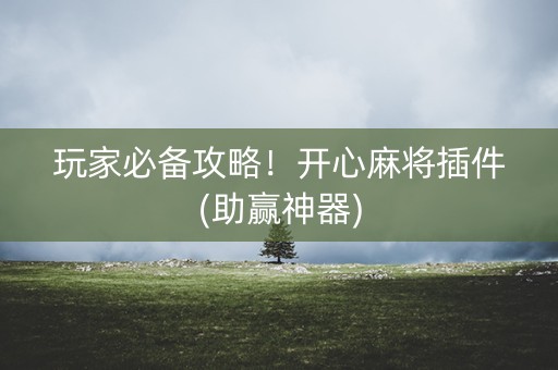 玩家必备攻略！开心麻将插件(助赢神器)
