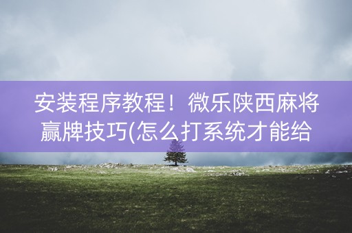 安装程序教程！微乐陕西麻将赢牌技巧(怎么打系统才能给好牌)