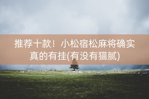 推荐十款！小松宿松麻将确实真的有挂(有没有猫腻)