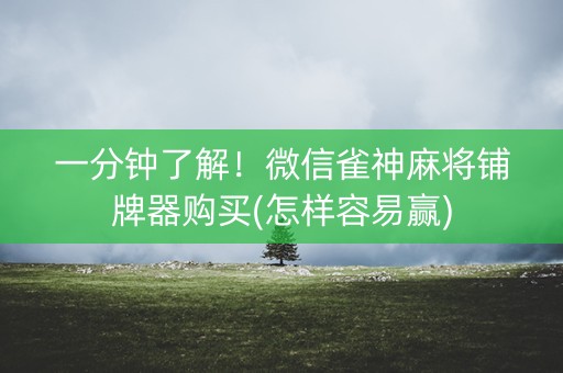 一分钟了解！微信雀神麻将铺牌器购买(怎样容易赢)