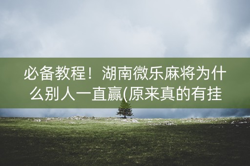 必备教程！湖南微乐麻将为什么别人一直赢(原来真的有挂)