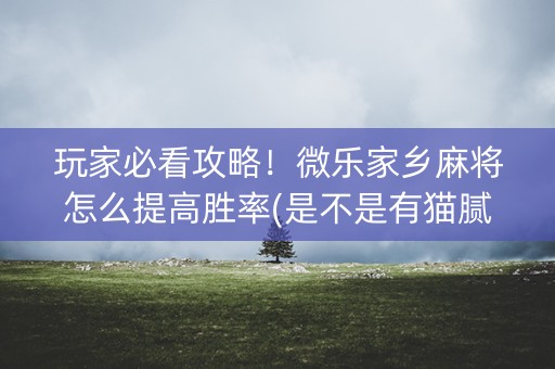 玩家必看攻略！微乐家乡麻将怎么提高胜率(是不是有猫腻)