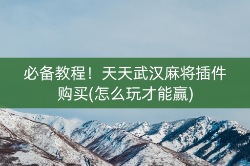 必备教程！天天武汉麻将插件购买(怎么玩才能赢)