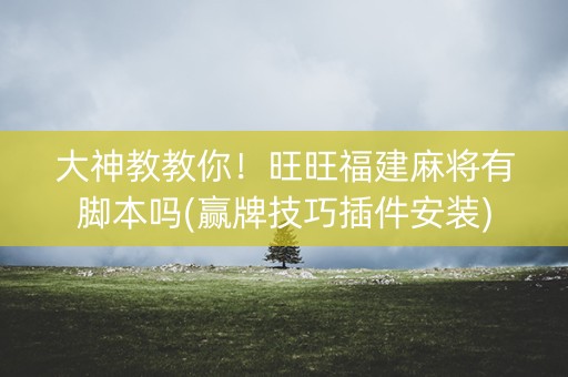 大神教教你！旺旺福建麻将有脚本吗(赢牌技巧插件安装)