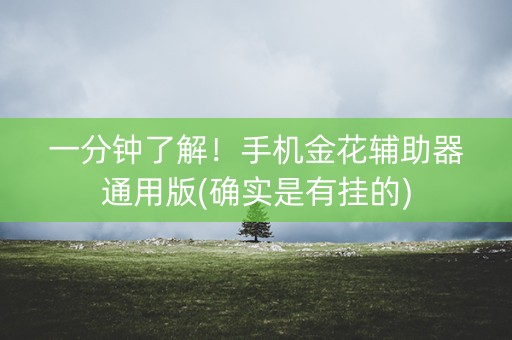 一分钟了解！手机金花辅助器通用版(确实是有挂的)