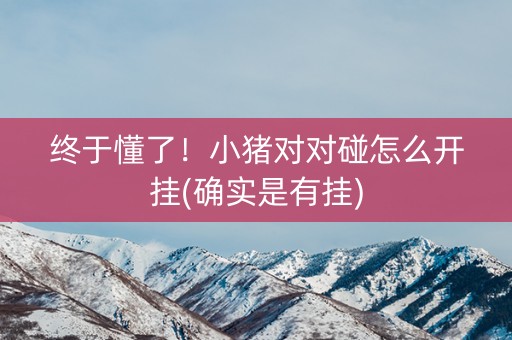 终于懂了！小猪对对碰怎么开挂(确实是有挂)