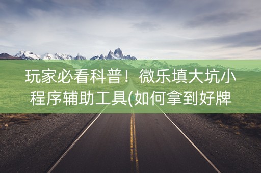 玩家必看科普！微乐填大坑小程序辅助工具(如何拿到好牌)