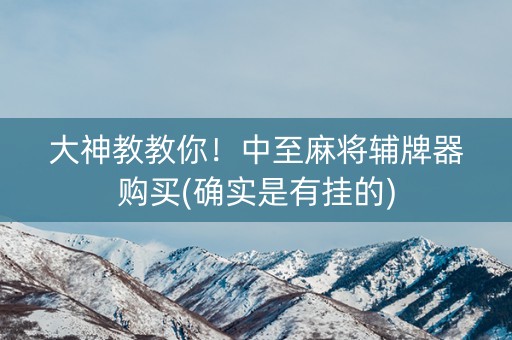 大神教教你！中至麻将辅牌器购买(确实是有挂的)