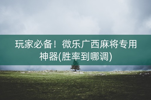 玩家必备！微乐广西麻将专用神器(胜率到哪调)