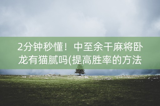 2分钟秒懂！中至余干麻将卧龙有猫腻吗(提高胜率的方法)