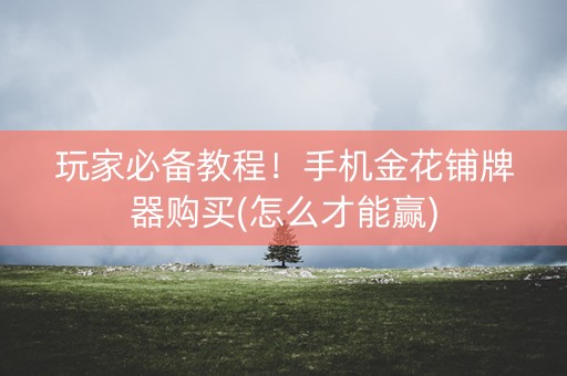 玩家必备教程！手机金花铺牌器购买(怎么才能赢)