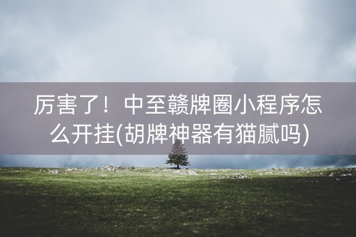 厉害了！中至赣牌圈小程序怎么开挂(胡牌神器有猫腻吗)