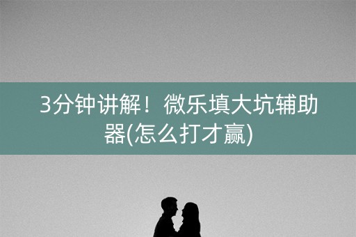 3分钟讲解！微乐填大坑辅助器(怎么打才赢)