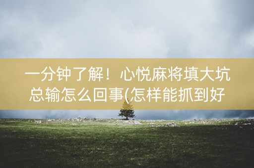 一分钟了解！心悦麻将填大坑总输怎么回事(怎样能抓到好牌)