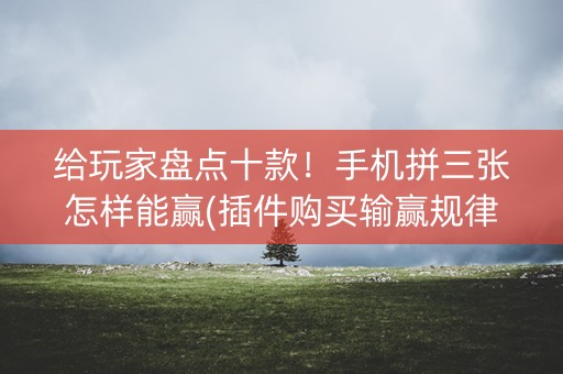 给玩家盘点十款！手机拼三张怎样能赢(插件购买输赢规律)