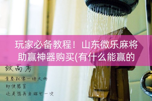 玩家必备教程！山东微乐麻将助赢神器购买(有什么能赢的方法)