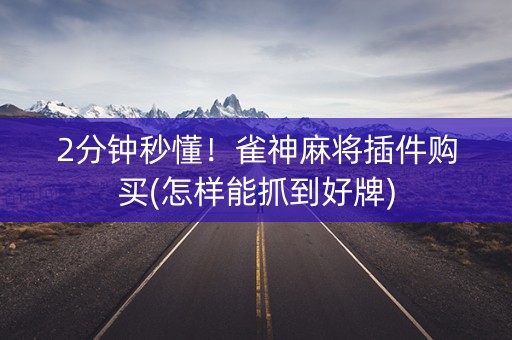 2分钟秒懂！雀神麻将插件购买(怎样能抓到好牌)