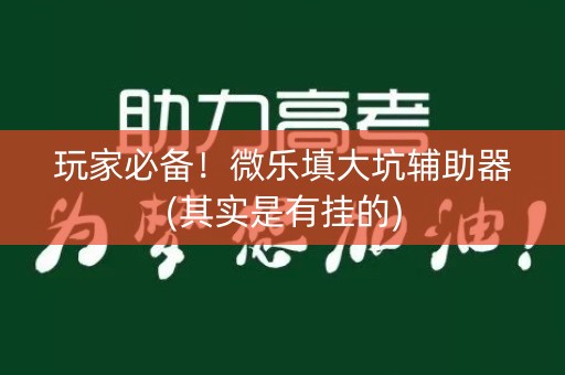 玩家必备！微乐填大坑辅助器(其实是有挂的)