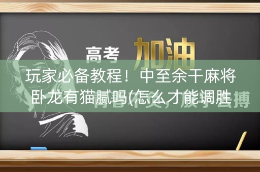 玩家必备教程！中至余干麻将卧龙有猫腻吗(怎么才能调胜率)