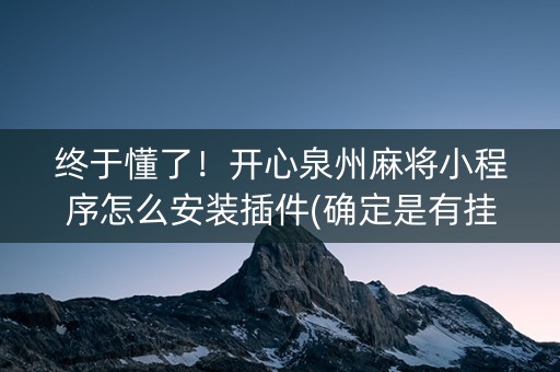 终于懂了！开心泉州麻将小程序怎么安装插件(确定是有挂)