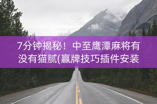7分钟揭秘！中至鹰潭麻将有没有猫腻(赢牌技巧插件安装)