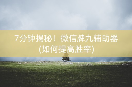 7分钟揭秘！微信牌九辅助器(如何提高胜率)