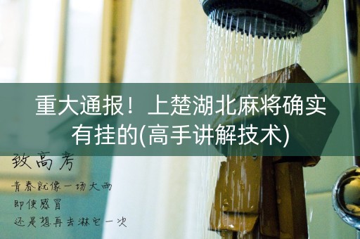 重大通报！上楚湖北麻将确实有挂的(高手讲解技术)