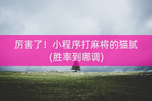 厉害了！小程序打麻将的猫腻(胜率到哪调)