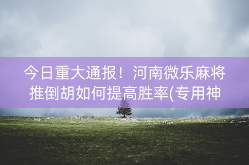 今日重大通报！河南微乐麻将推倒胡如何提高胜率(专用神器胡牌技巧)