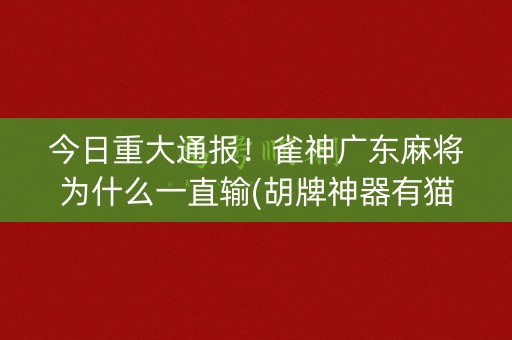 今日重大通报！雀神广东麻将为什么一直输(胡牌神器有猫腻吗)