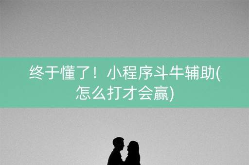 终于懂了！小程序斗牛辅助(怎么打才会赢)
