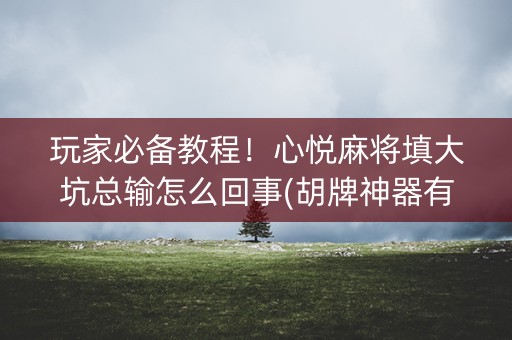 玩家必备教程！心悦麻将填大坑总输怎么回事(胡牌神器有猫腻吗)