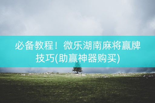必备教程！微乐湖南麻将赢牌技巧(助赢神器购买)