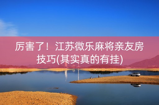 厉害了！江苏微乐麻将亲友房技巧(其实真的有挂)