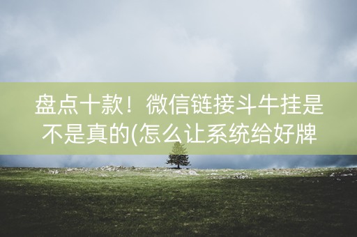 盘点十款！微信链接斗牛挂是不是真的(怎么让系统给好牌)