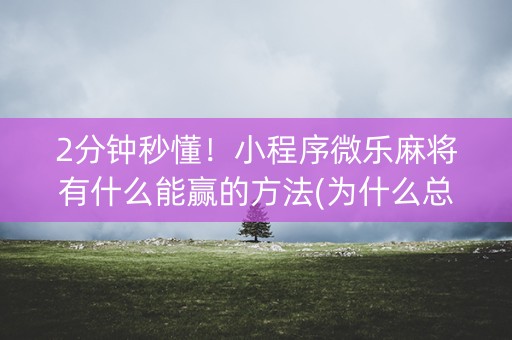 2分钟秒懂！小程序微乐麻将有什么能赢的方法(为什么总是输)