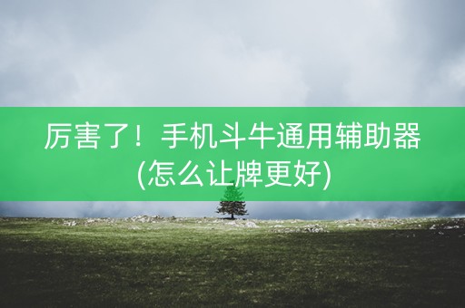 厉害了！手机斗牛通用辅助器(怎么让牌更好)