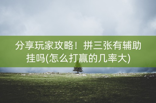 分享玩家攻略！拼三张有辅助挂吗(怎么打赢的几率大)
