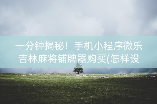 一分钟揭秘！手机小程序微乐吉林麻将铺牌器购买(怎样设置好牌)