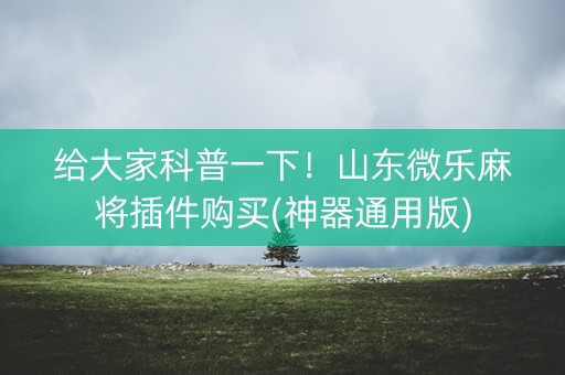 给大家科普一下！山东微乐麻将插件购买(神器通用版)