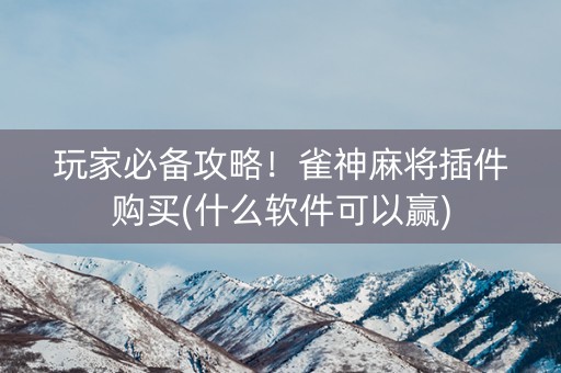 玩家必备攻略！雀神麻将插件购买(什么软件可以赢)