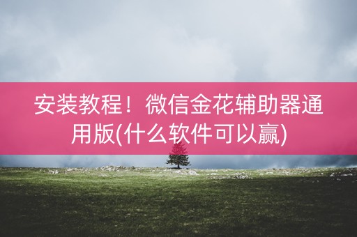 安装教程！微信金花辅助器通用版(什么软件可以赢)