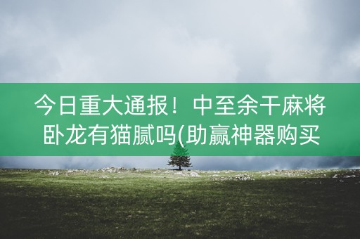 今日重大通报！中至余干麻将卧龙有猫腻吗(助赢神器购买)