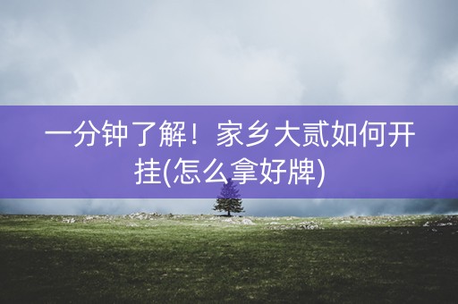 一分钟了解！家乡大贰如何开挂(怎么拿好牌)