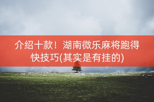 介绍十款！湖南微乐麻将跑得快技巧(其实是有挂的)