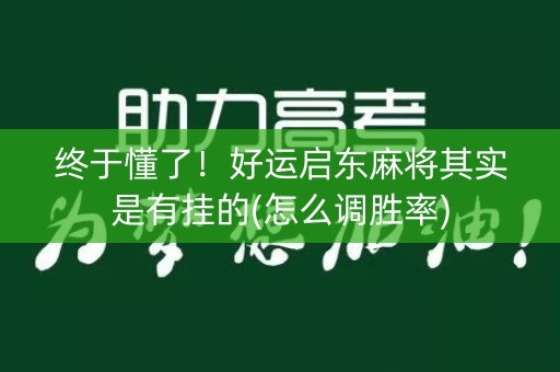 终于懂了！好运启东麻将其实是有挂的(怎么调胜率)