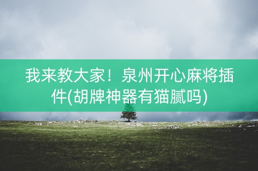 我来教大家！泉州开心麻将插件(胡牌神器有猫腻吗)