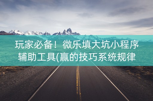 玩家必备！微乐填大坑小程序辅助工具(赢的技巧系统规律)